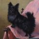 Euphemie Muraton Dog painting buy European art online