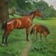 William Frank Calderon painting buy Victorian art online fine art dealers